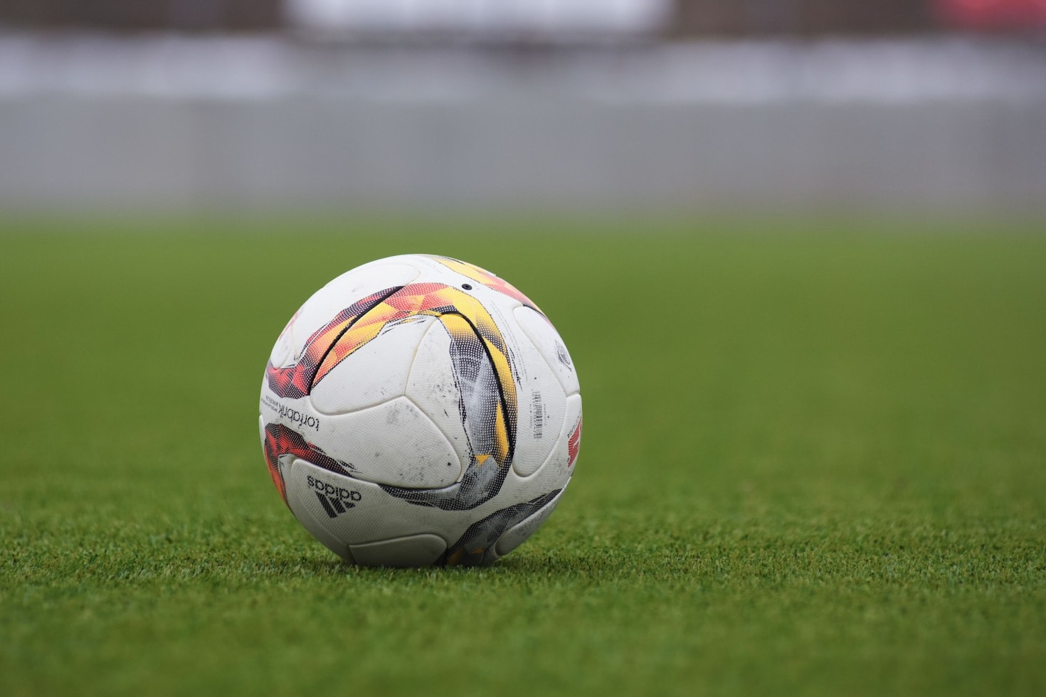 Los fichajes que ilusionan a la afición